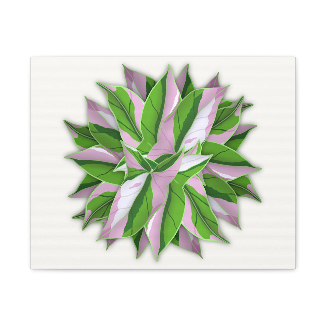 Syngonium Tricolor Canvas Print – Botanical Wall Art - The Potted Pixel