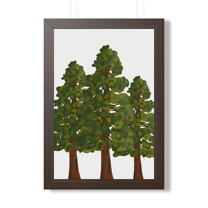 Coastal Redwood Framed Print – Wall Art
