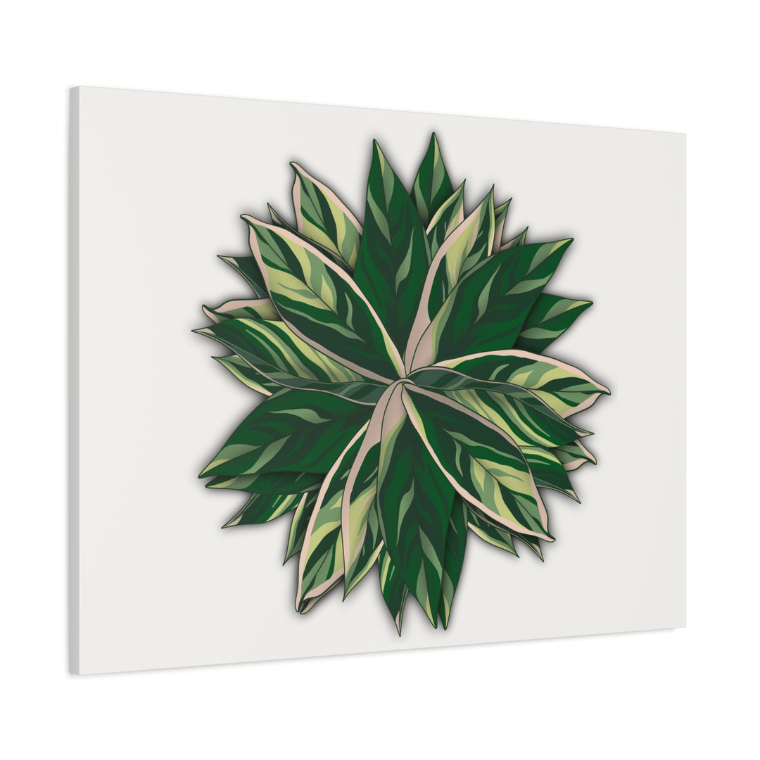 Stromanthe Triostar Canvas Wall Art Premium Matte Finish On Durable 1.25 Inch Frame For Vibrant Indoor Tropical Decor