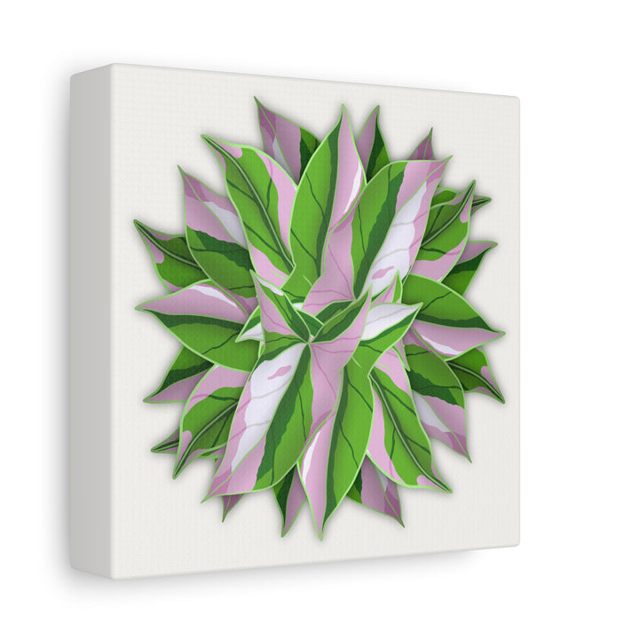 Syngonium Tricolor Canvas Print – Botanical Wall Art - The Potted Pixel