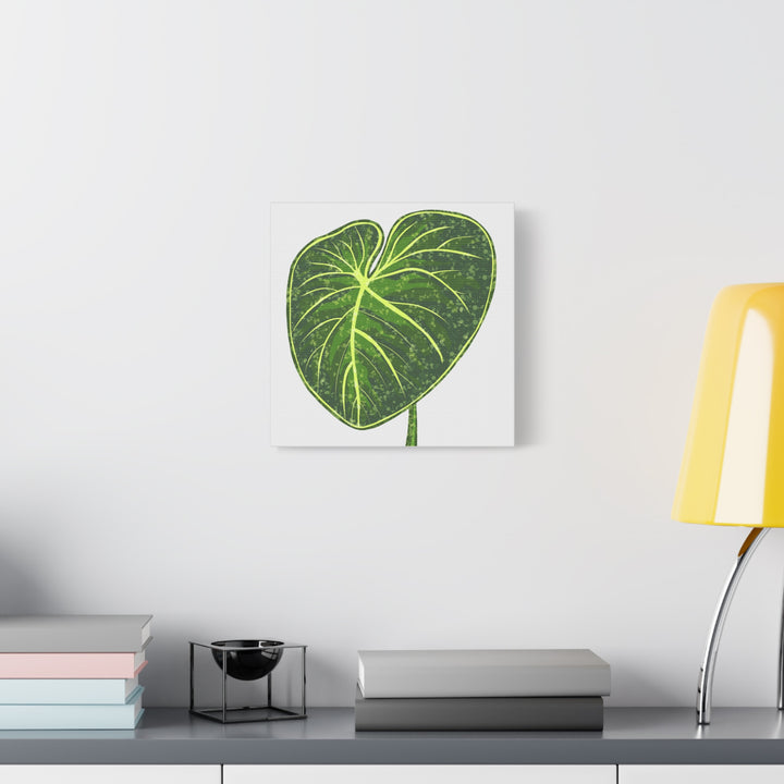 Philodendron Gloriosum Canvas Print Stretched Wall Art Botanical Leaf Print Matte Finish Gallery Wrapped Canvas