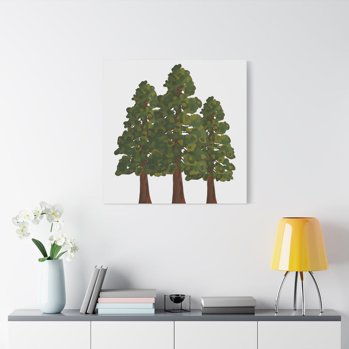 Coastal Redwoods Matte Canvas Print On 1.25 Inch Stretched Canvas For Serene Forest Wall Art In Living Rooms
