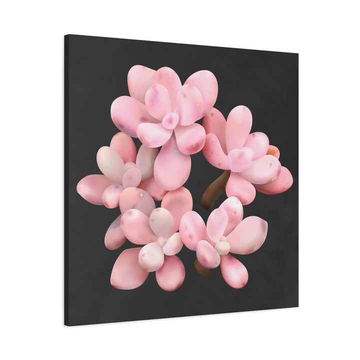 Pink Moonstone Canvas Print – Botanical Wall Art