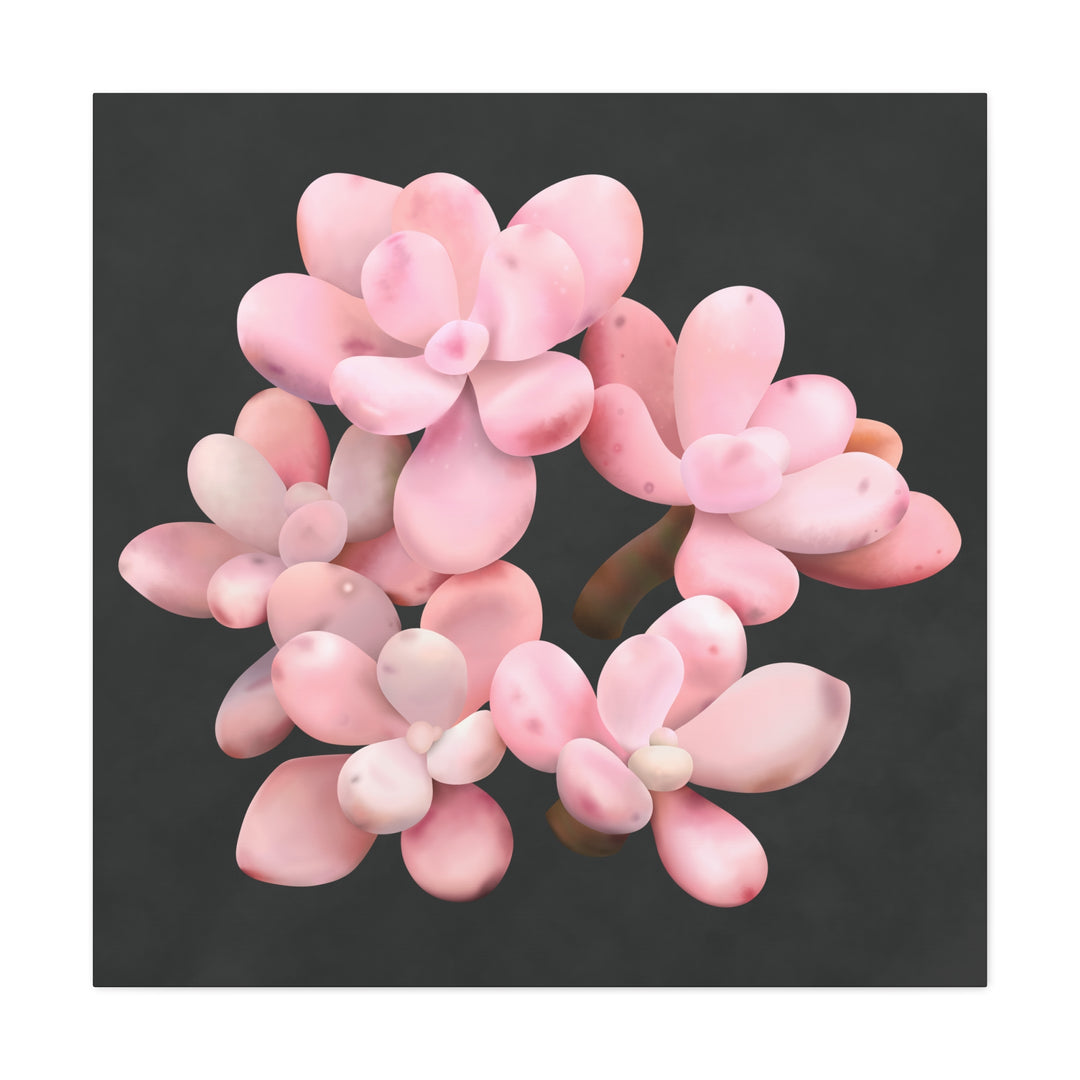 Pink Moonstone Canvas Print – Botanical Wall Art