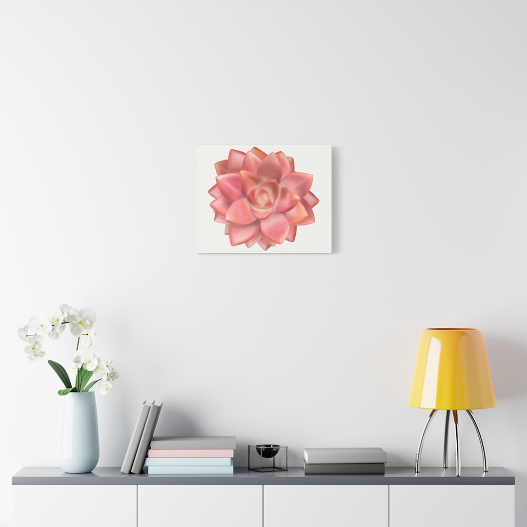 Succulent Canvas Art California Sunset Rosette Botanical Wall Art Print The Potted Pixel