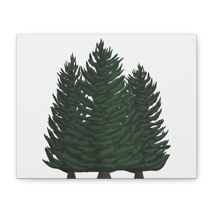 Douglas Fir Canvas Print – Wall Art