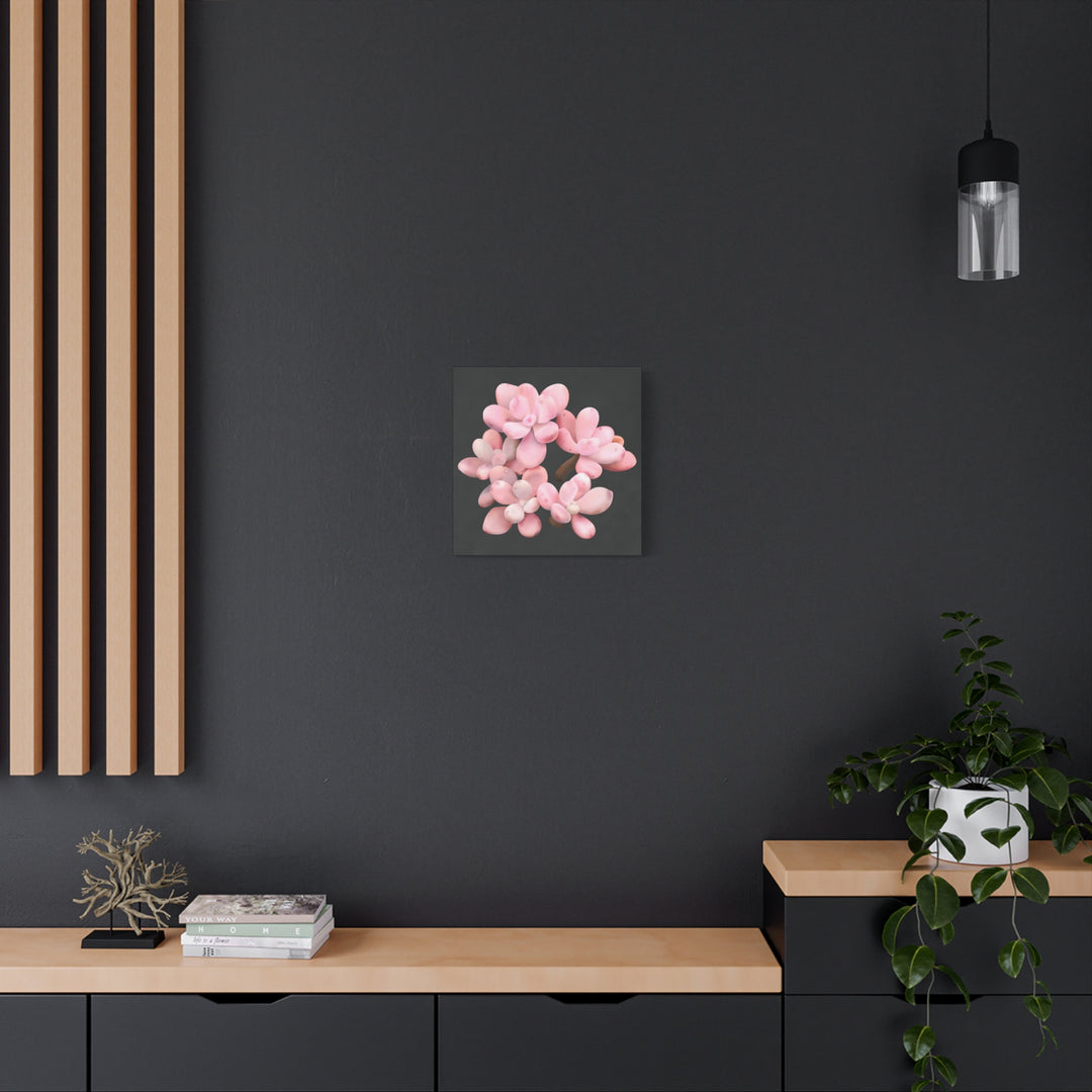 Pink Moonstone Canvas Print – Botanical Wall Art