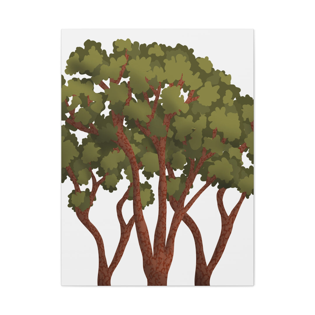 Pacific Madrone Canvas Print – Wall Art