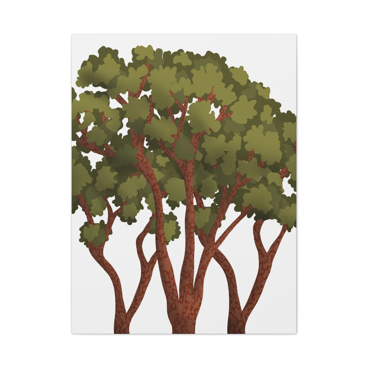 Pacific Madrone Canvas Print – Wall Art