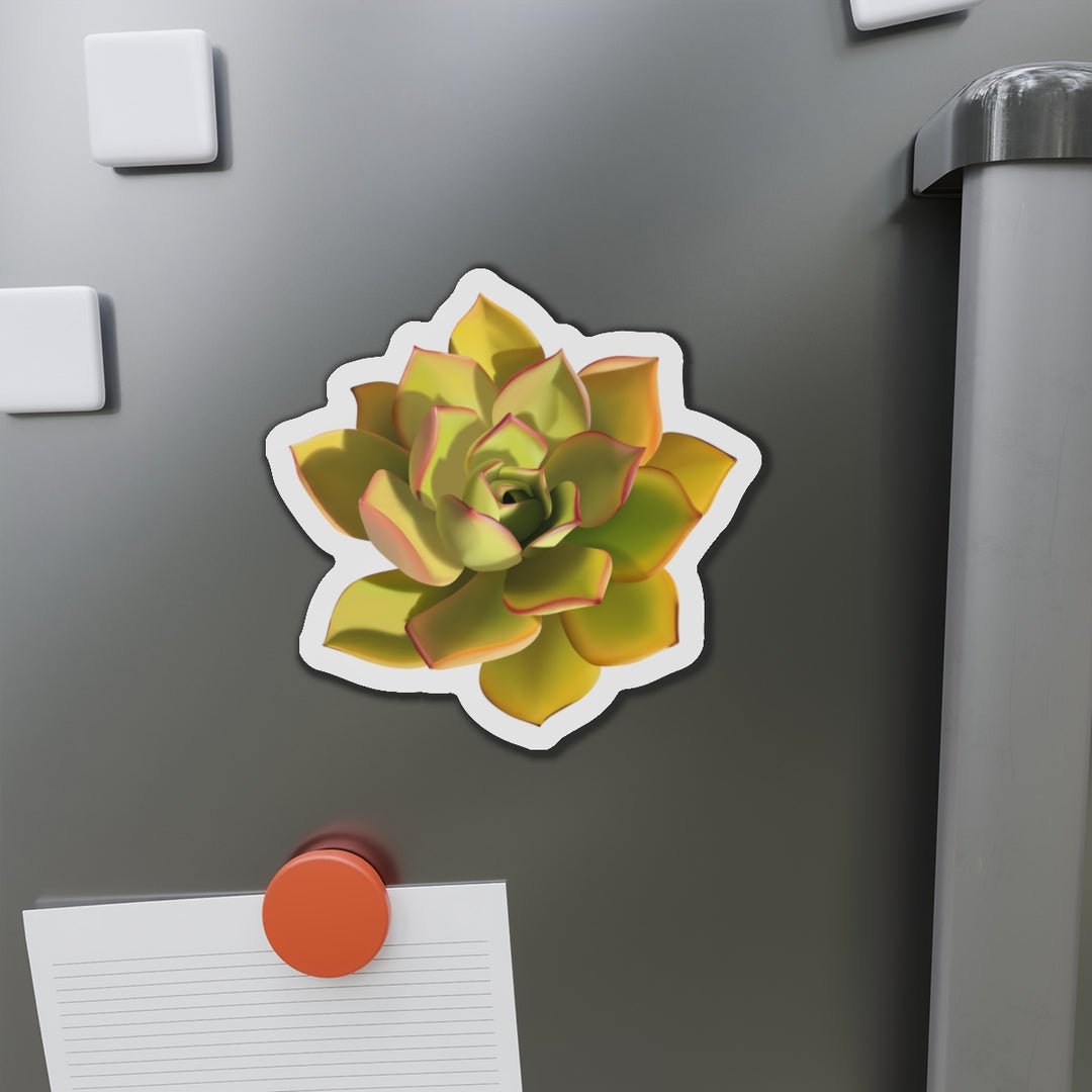 Noble Aeonium Succulent Magnet