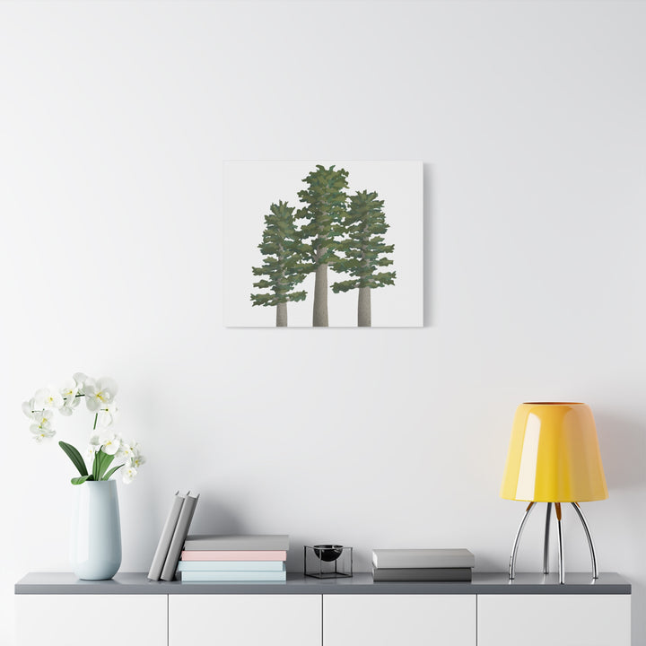 Sitka Spruce Canvas Print – Wall Art