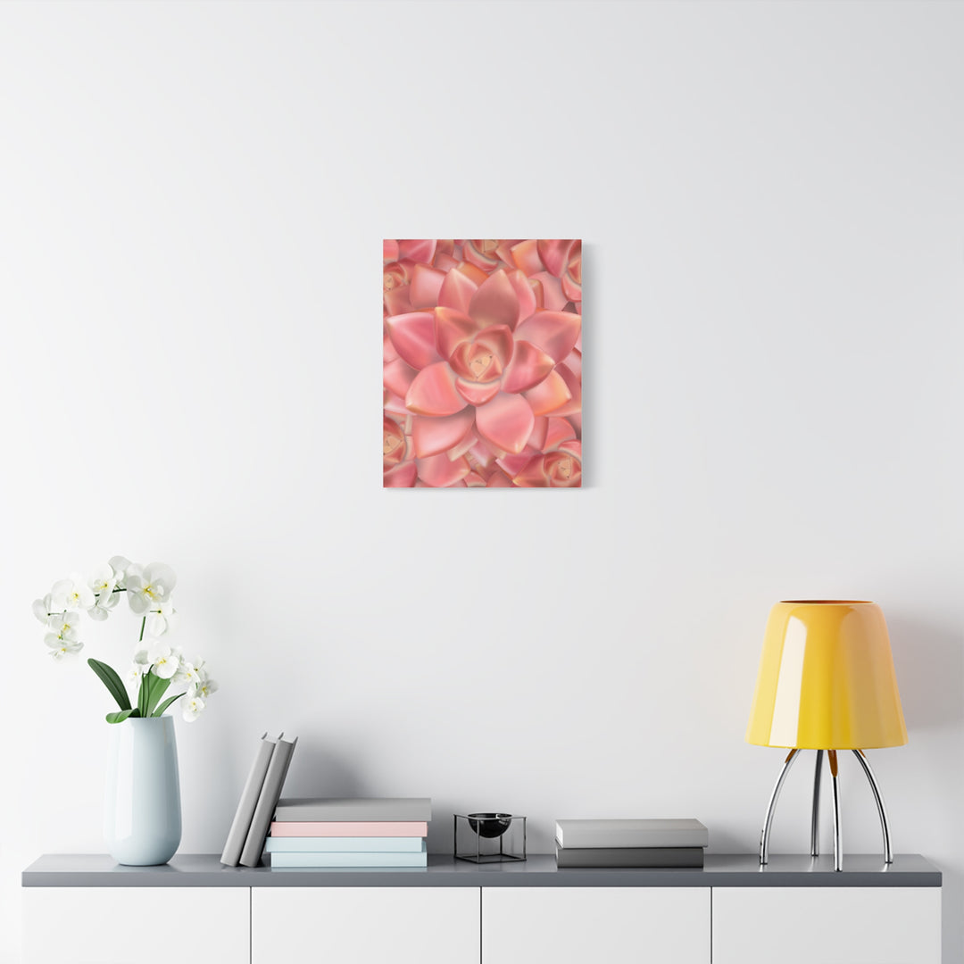 Graptosedum California Sunset Succulent Canvas Print – Botanical Wall Art - The Potted Pixel
