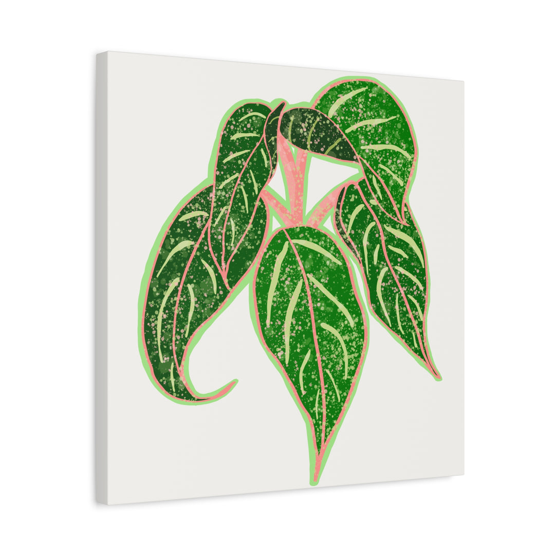 Aglaonema Sparkling Sarah Botanical Canvas Print On Matte Stretch Canvas For Modern Living Room Decor