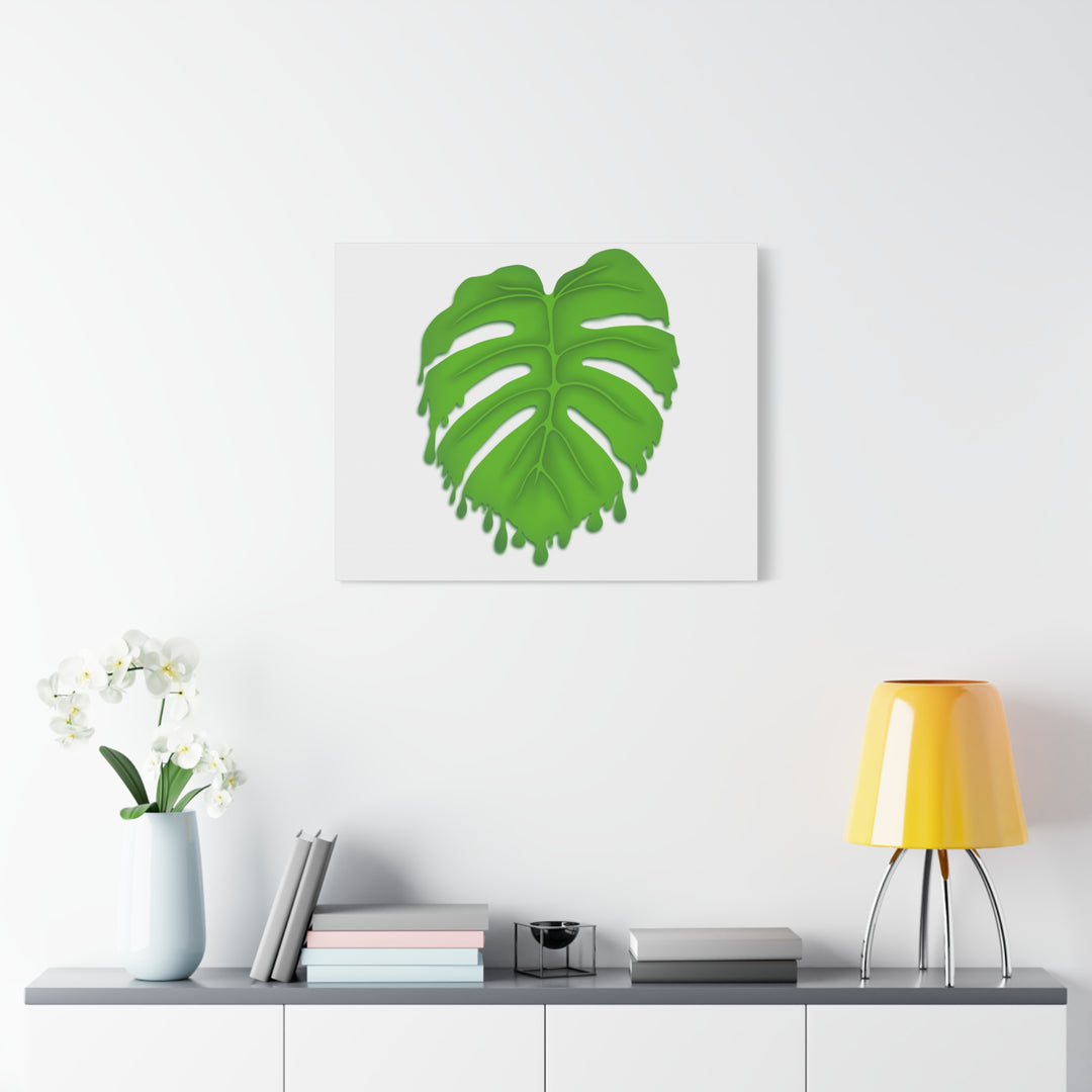 Melting Monstera Canvas Wall Art Large Botanical Print On Premium Cotton With Matte Finish For Indoor Decor