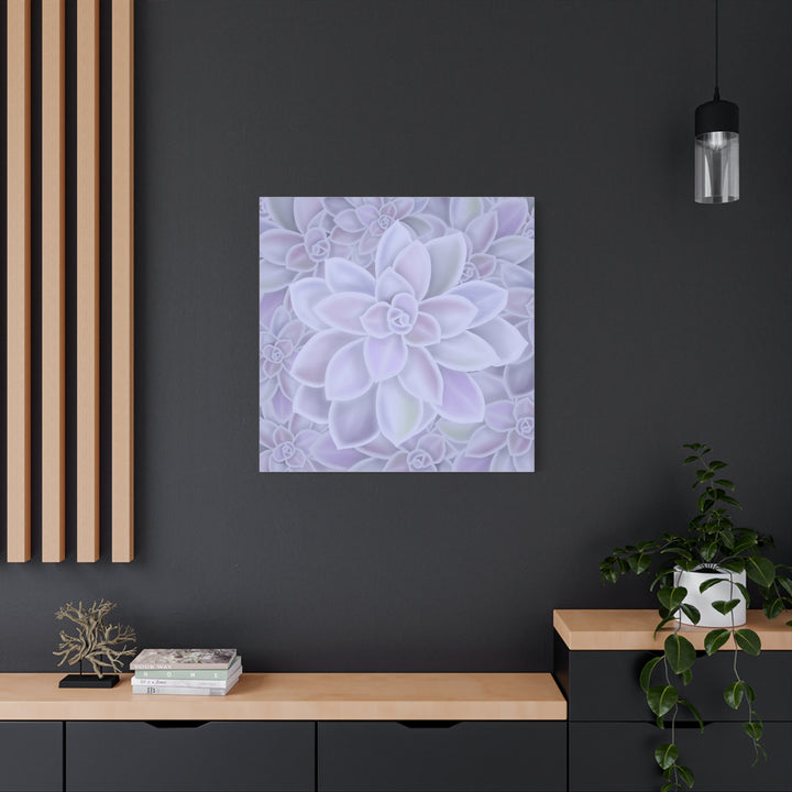 Graptopetalum Murasaki Succulent Canvas Art Print Pastel Purple Rosette Indoor Plant Decor