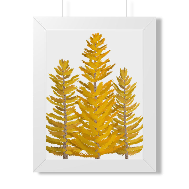 Western Larch Framed Print – Wall Art