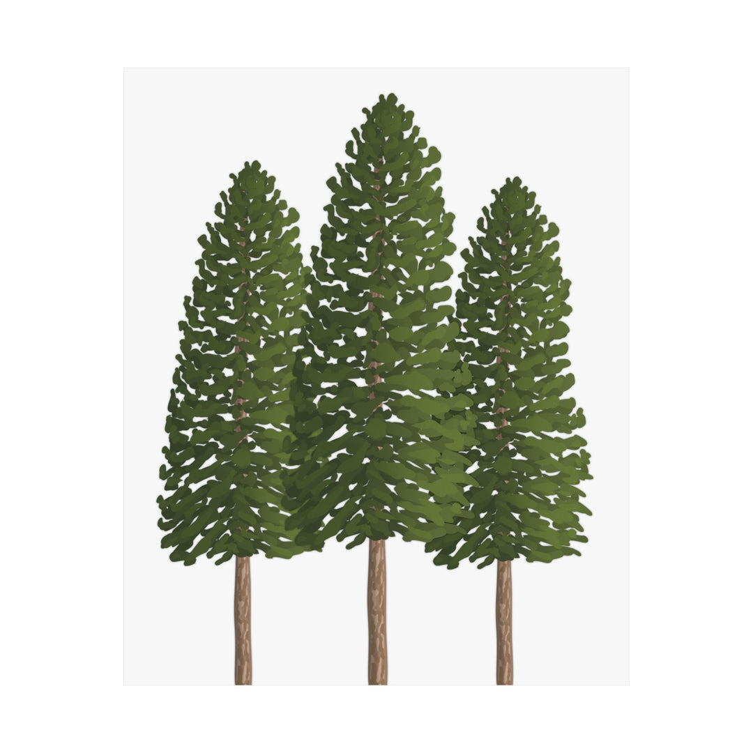 Ponderosa Pine Botanical Print – Unframed Wall Art by Printify