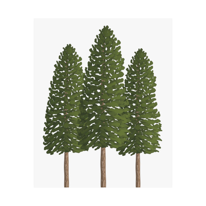 Ponderosa Pine Botanical Print – Unframed Wall Art by Printify
