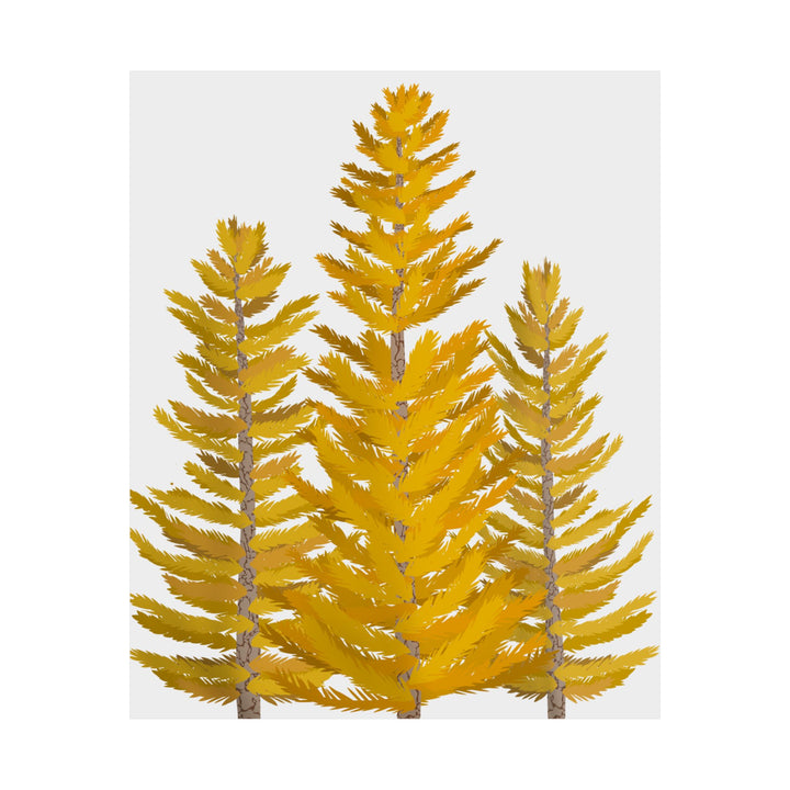 Western Larch Print – Unframed Wall Art
