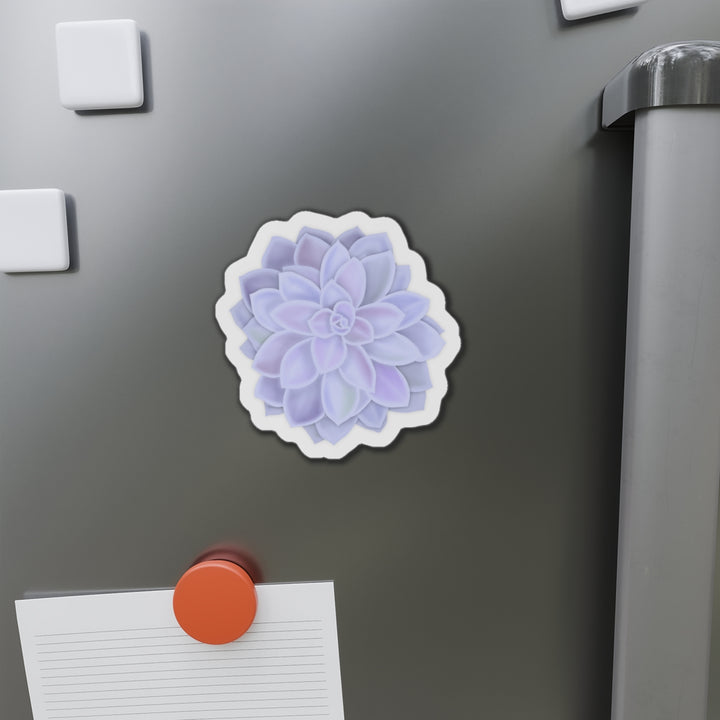 Graptopetalum Murasaki Succulent Magnet