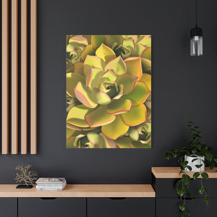 Succulent Canvas Art Vibrant Aeonium Print On Matte Canvas Wall Decor 12x18 Inches Indoor Home