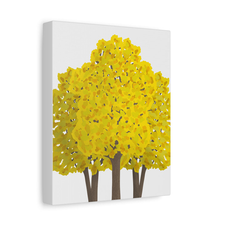 Big Leaf Maple Canvas Print – Wall Art