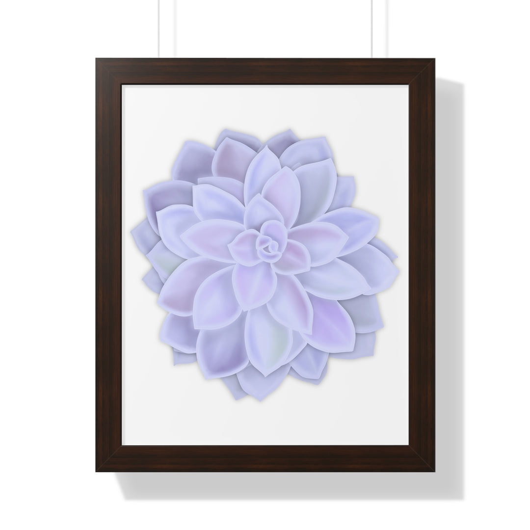 Graptopetalum Murasaki Succulent Framed Print – Botanical Wall Art - The Potted Pixel