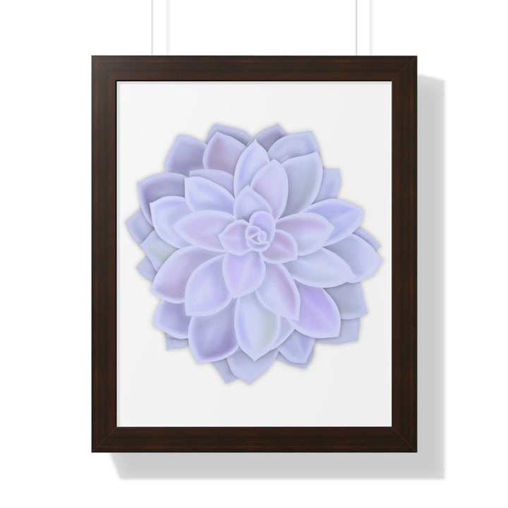 Graptopetalum Murasaki Succulent Framed Print – Botanical Wall Art - The Potted Pixel