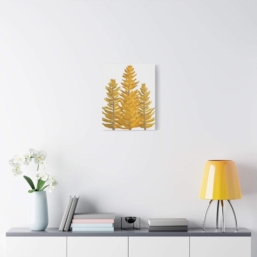 Western Larch Canvas Print – Wall Art
