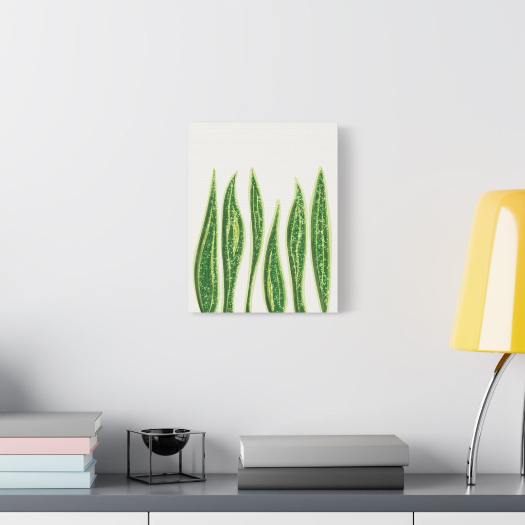 Snake Plant Canvas Print Matte 1.25 Inch Stretch Canvas Wall Art For Living Room Decor