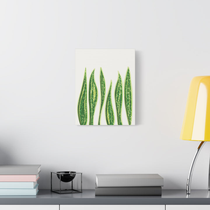 Snake Plant Canvas Print Matte 1.25 Inch Stretch Canvas Wall Art For Living Room Decor