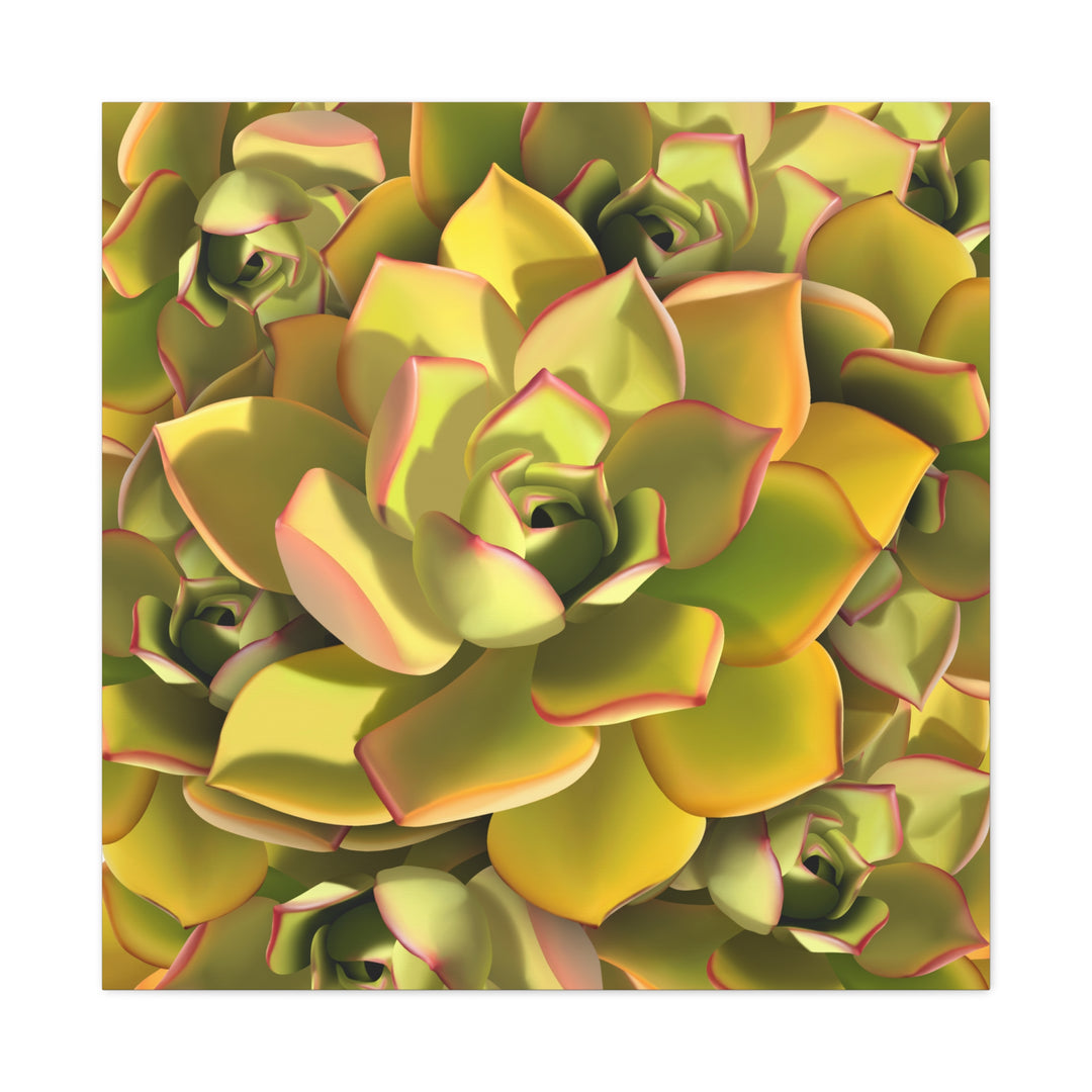 Succulent Canvas Art Vibrant Aeonium Print On Matte Canvas Wall Decor 12x18 Inches Indoor Home