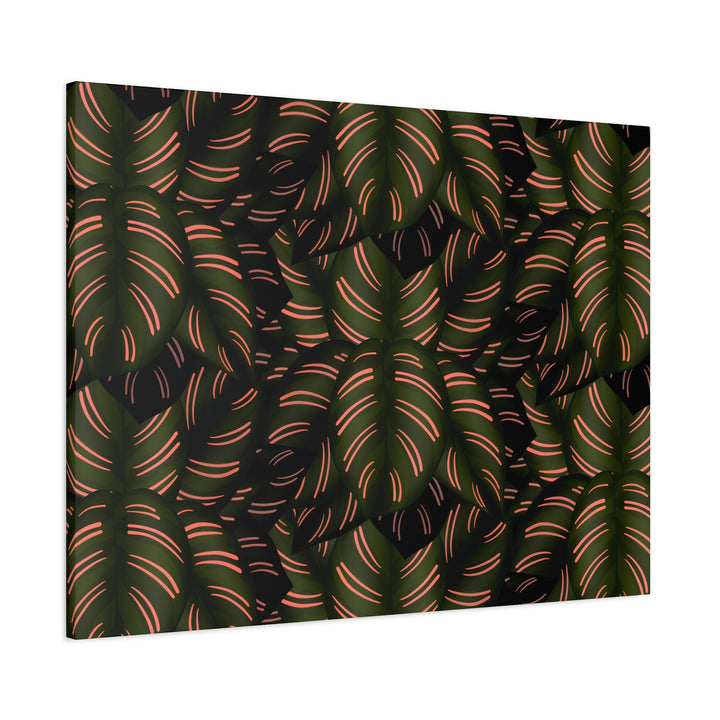 Calathea Pinstripe Canvas Print With Matte Finish Stretched Botanical Wall Art For Living Room Decor