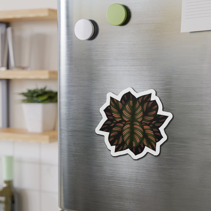 Calathea Pinstripe Magnet