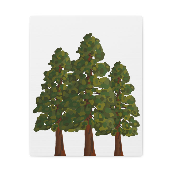 Coastal Redwoods Matte Canvas Print On 1.25 Inch Stretched Canvas For Serene Forest Wall Art In Living Rooms
