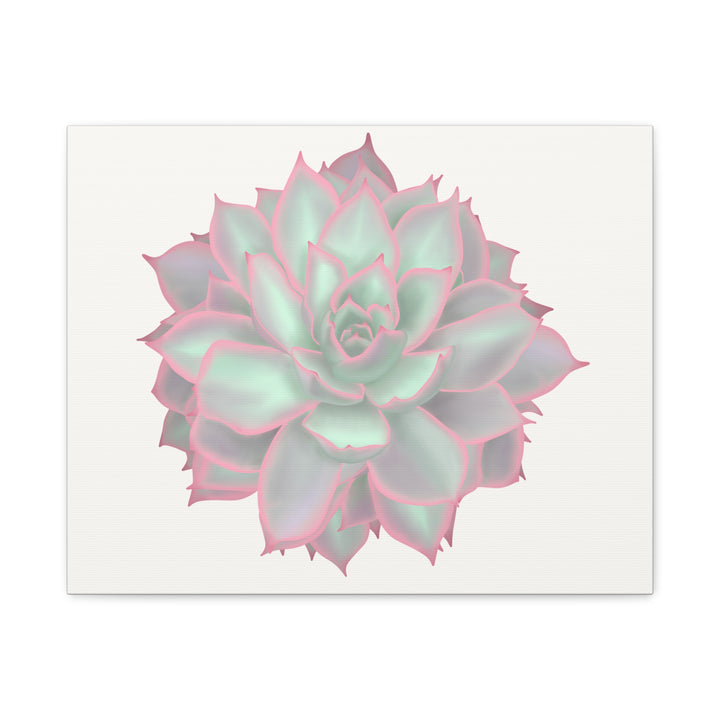 Echeveria Violet Queen Canvas Wall Art Rosette Succulent Print With Matte Finish