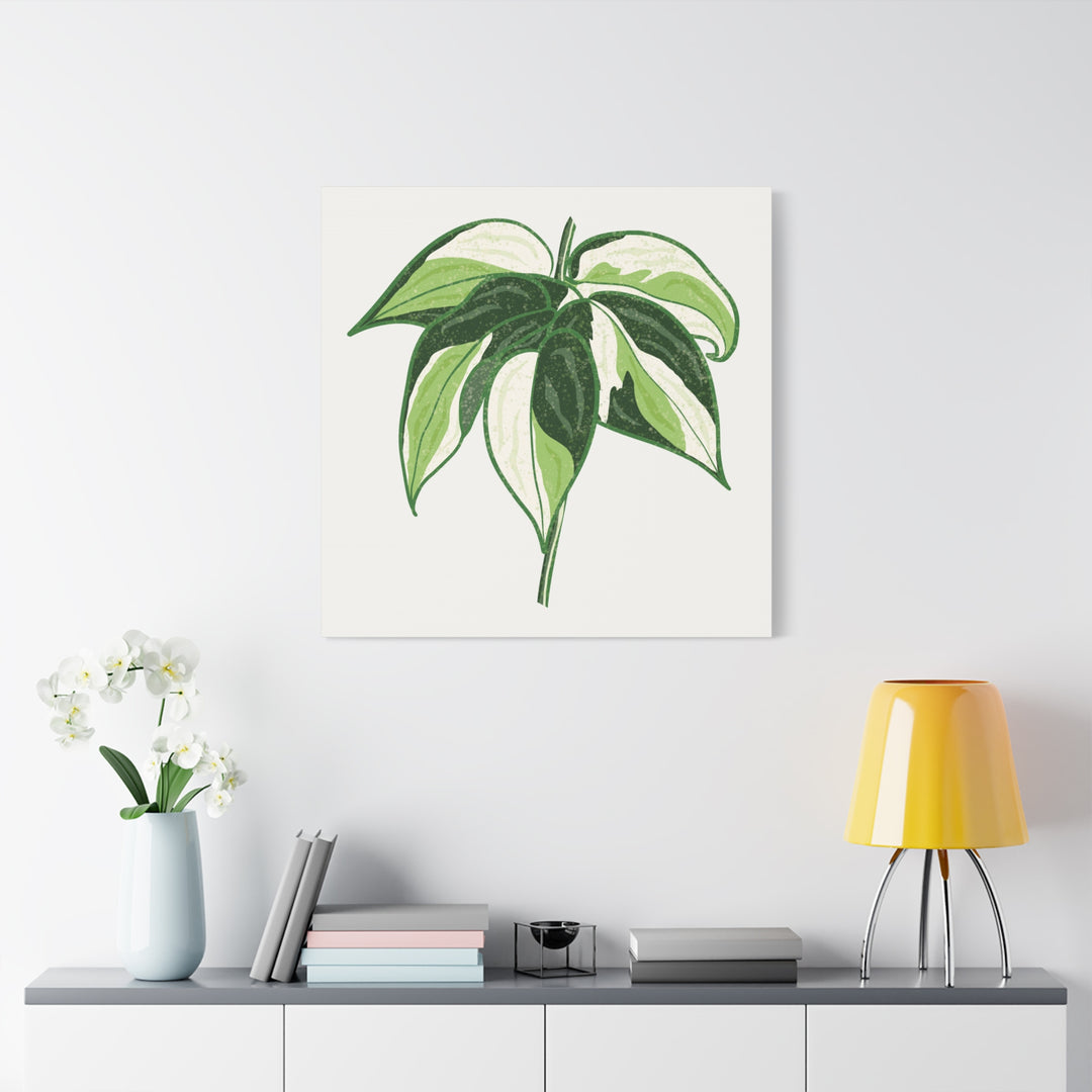 Philodendron Canvas Print Cream Splash Variegated Plant Art On Matte Cotton Canvas For Home Wall Decor