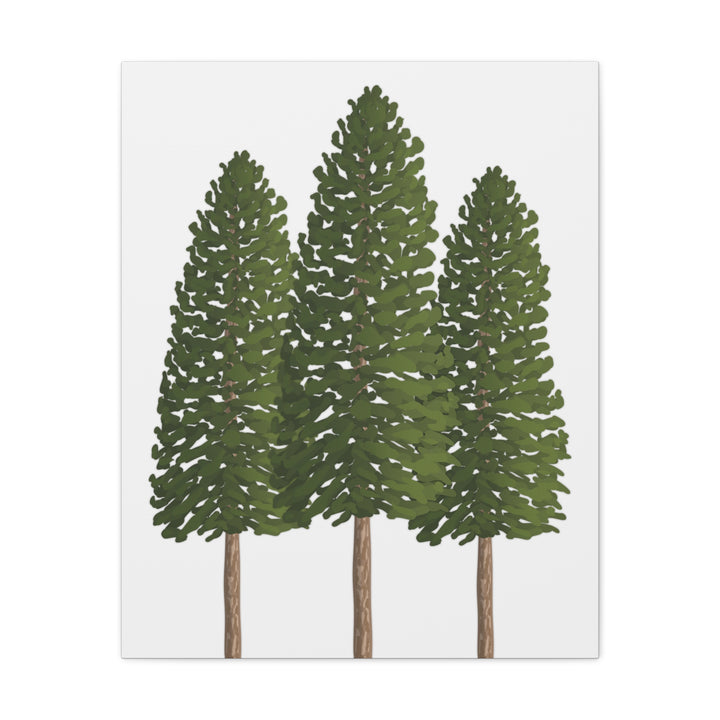 Three Ponderosa Pine Canvas Wall Art Matte Stretched Print Minimalist Forest Landscape Decor