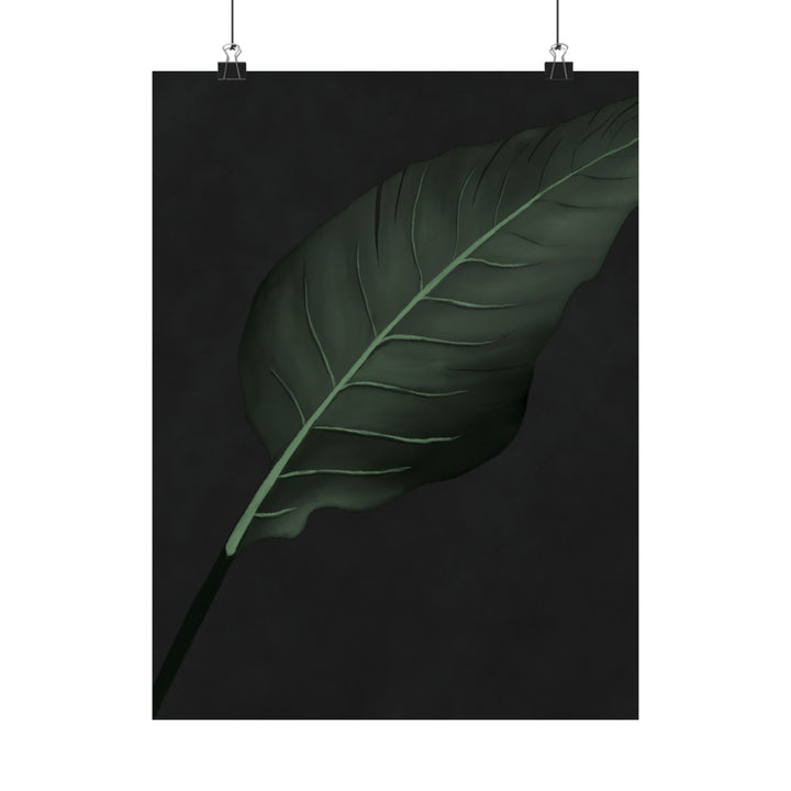 Bird of Paradise Botanical Print – Unframed Wall Art