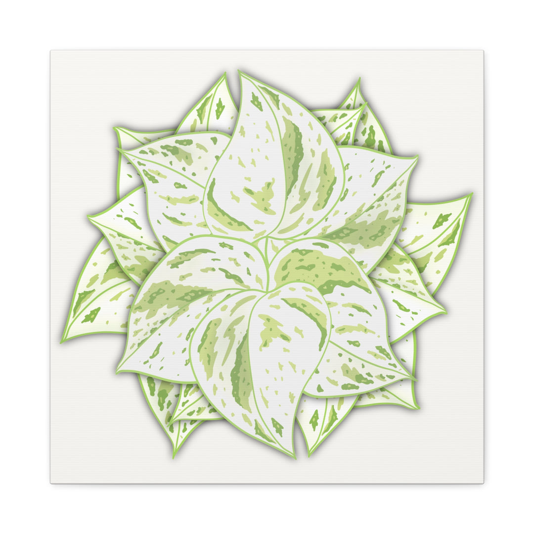 Snow Queen Pothos Canvas Wall Art Variegated Indoor Plant Leaf Poster Print Cotton Canvas