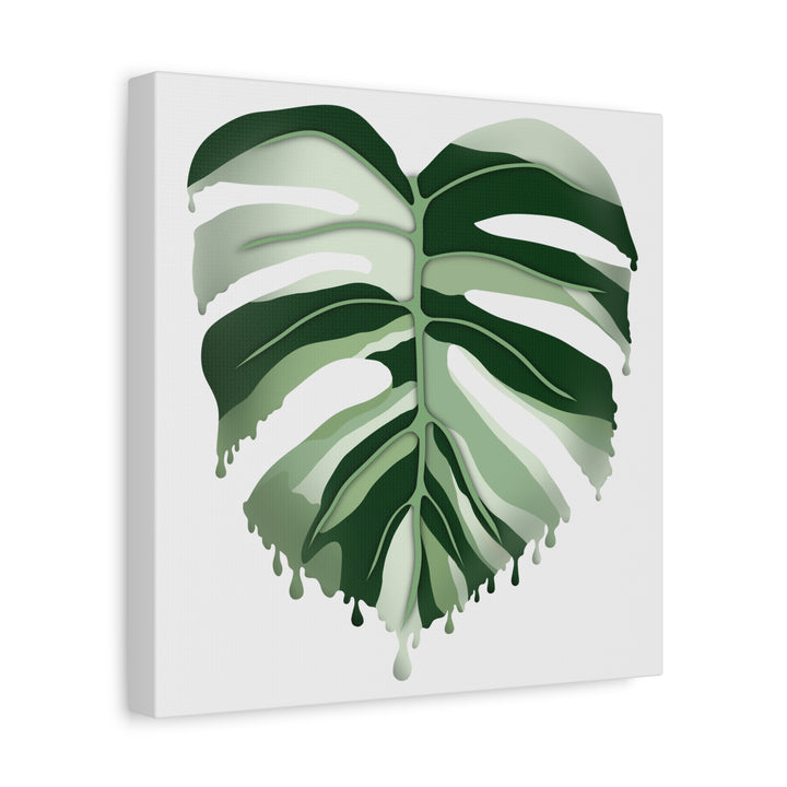 Melting Monstera Albo Canvas Large Indoor Wall Art Print Matte Finish Tropical Home Decor