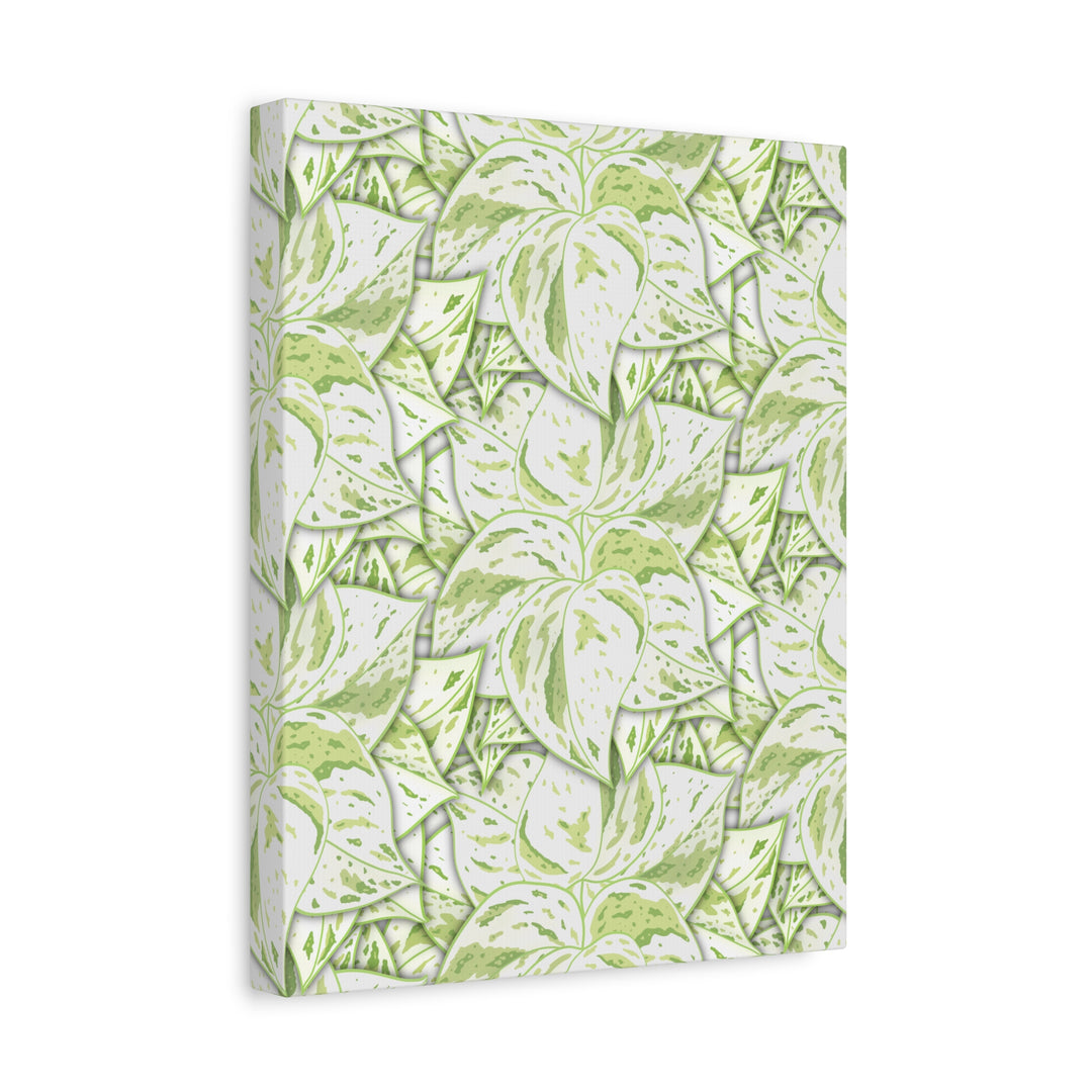 Snow Queen Pothos Canvas Print With Variegated White Leaves In Matte Finish For Modern Home Decor