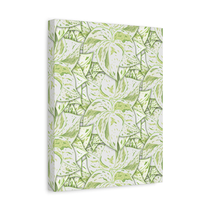 Snow Queen Pothos Canvas Print With Variegated White Leaves In Matte Finish For Modern Home Decor