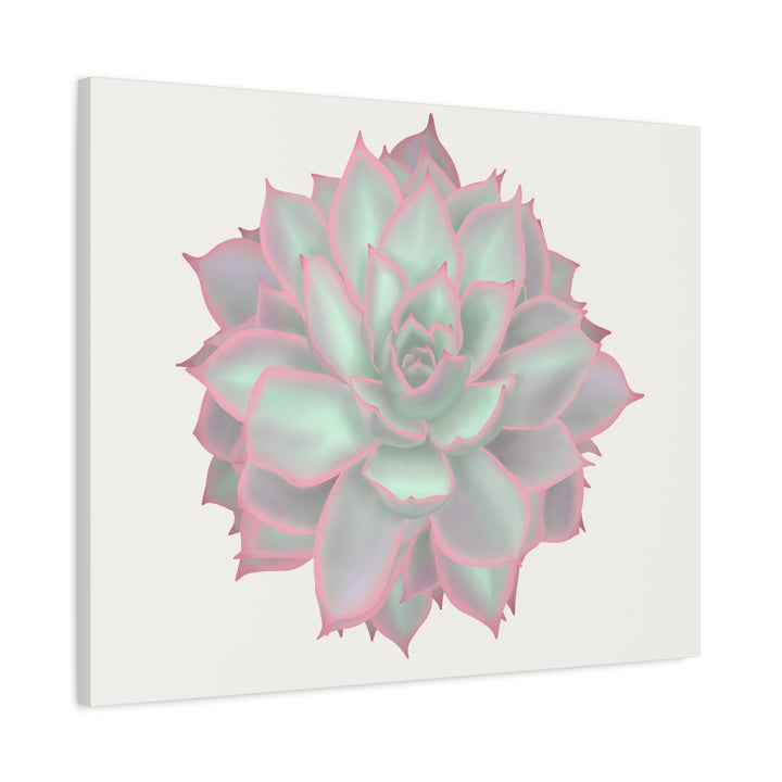 Echeveria Violet Queen Canvas Wall Art Rosette Succulent Print With Matte Finish