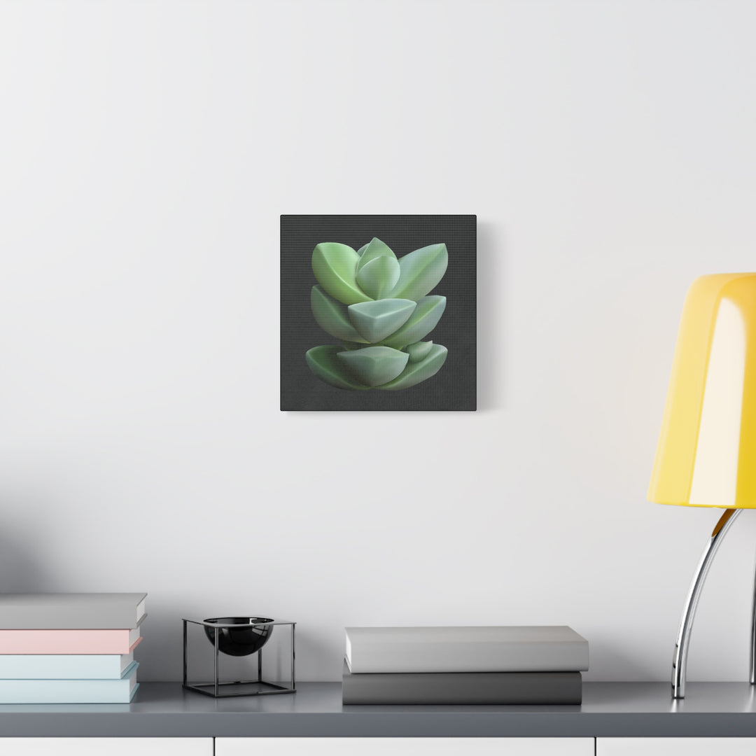 Crassula Canvas Print – Botanical Wall Art