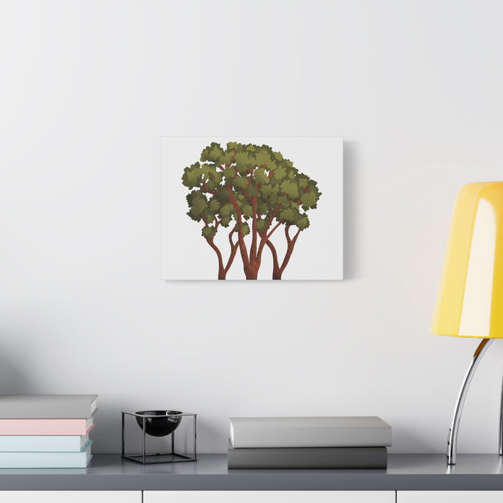 Pacific Madrone Canvas Print – Wall Art