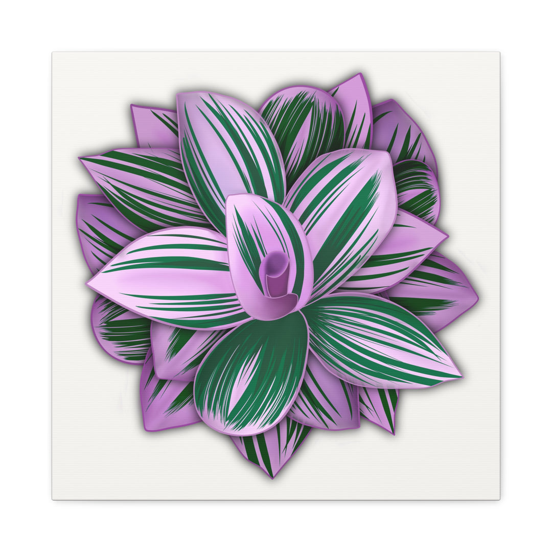 Tradescantia Nanouk Canvas Botanical Wall Art Print Pink Green Foliage On Stretched Cotton Canvas