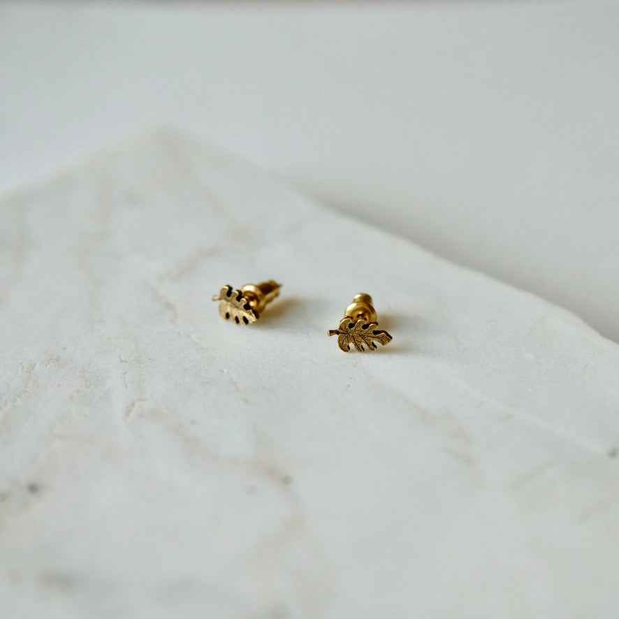 palm stud
