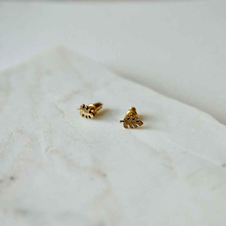 palm stud