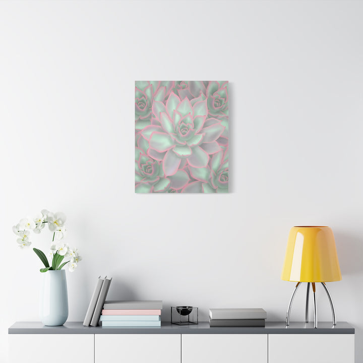 Echeveria Violet Queen Canvas Wall Art Succulent Print Matte Botanical Decor For Indoor Spaces